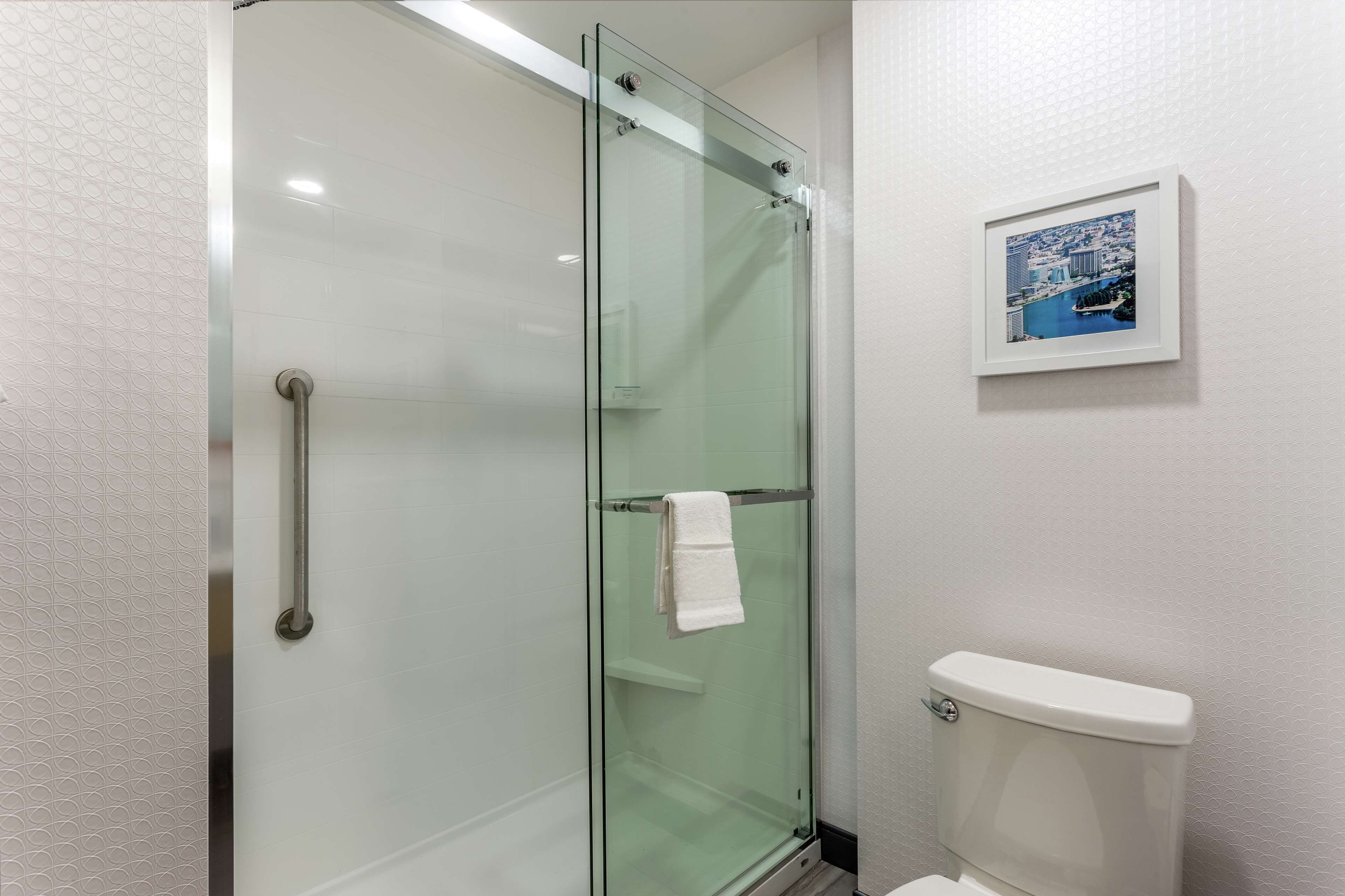 shower, free toiletries, hair dryer, towels