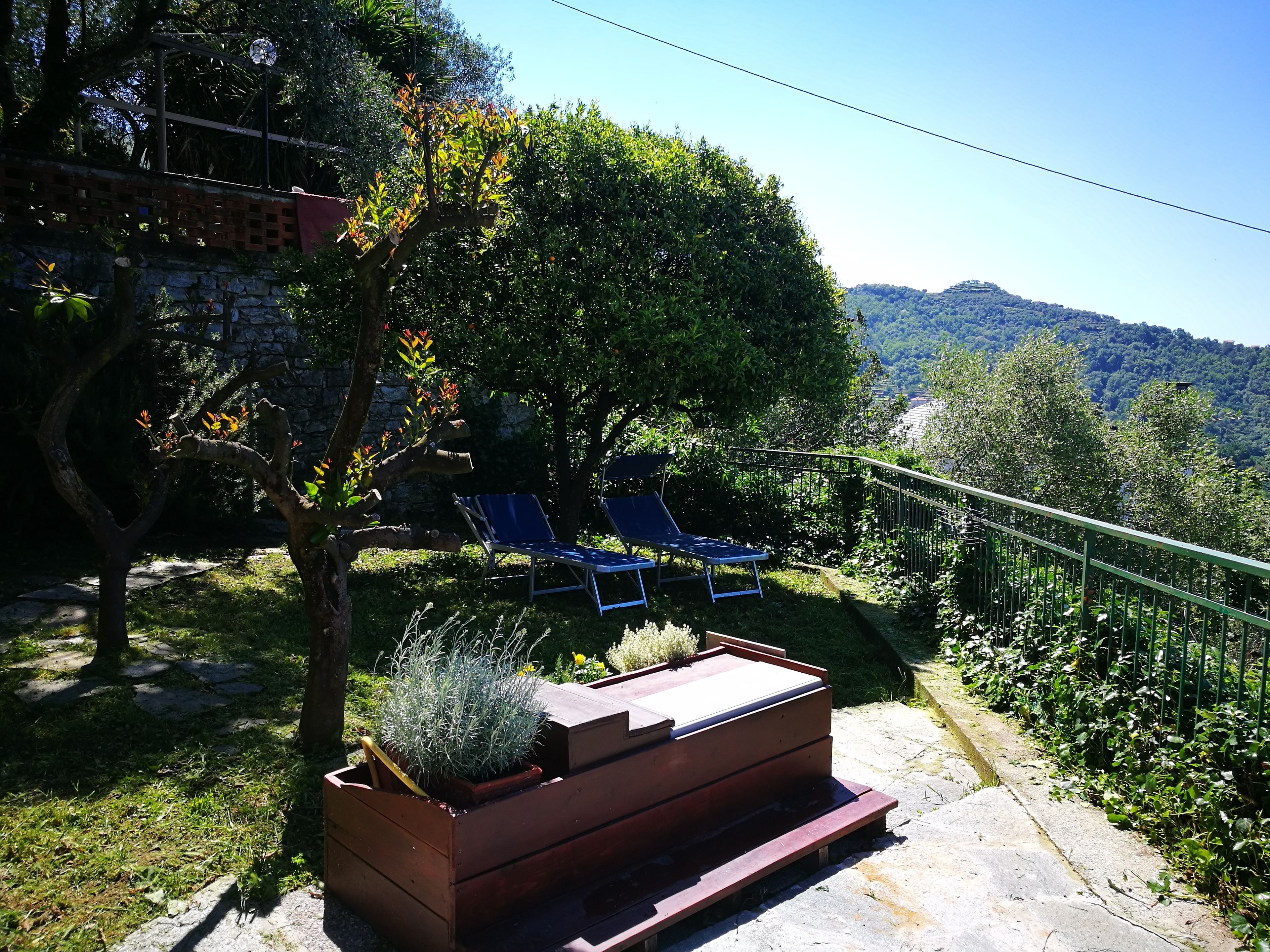 A garden with two blue lounge chairs, a wooden planter with plants, and a stone wall.