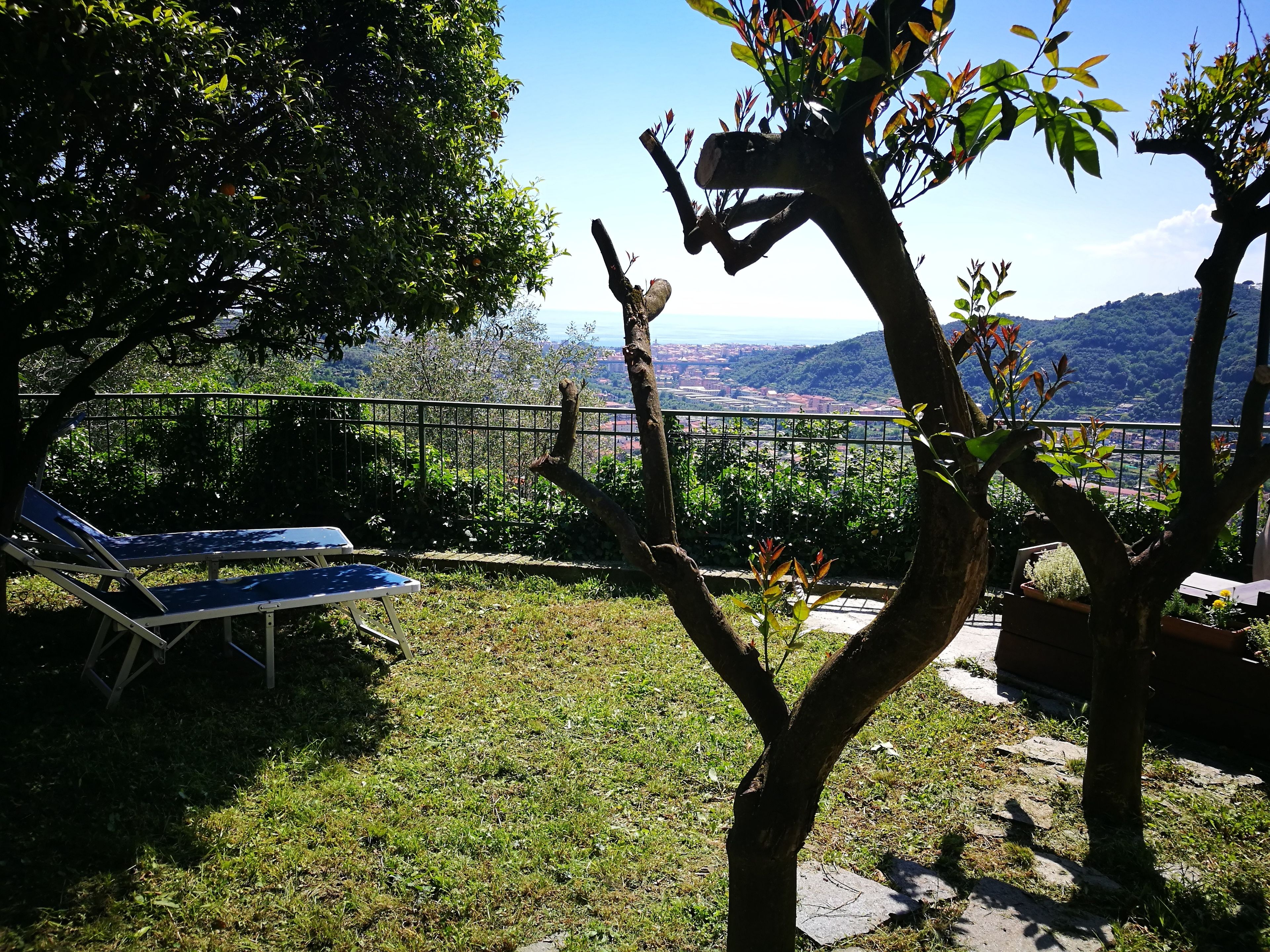 A garden with a view of a cityscape, a metal fence, and two lounge chairs.