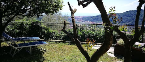 A garden with a view of a cityscape, a metal fence, and two lounge chairs.