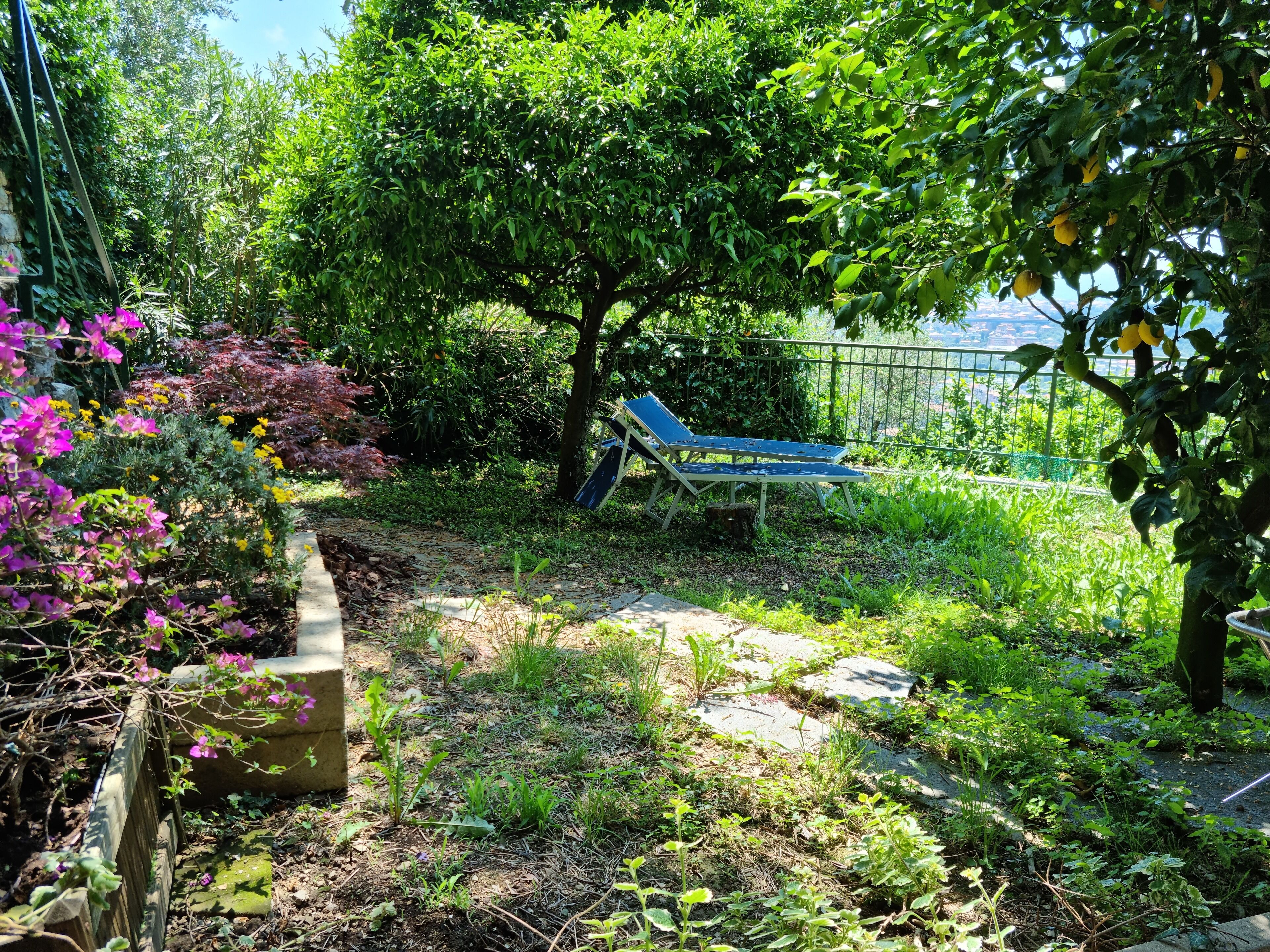 A garden with a blue lounge chair, a tree, and various plants.