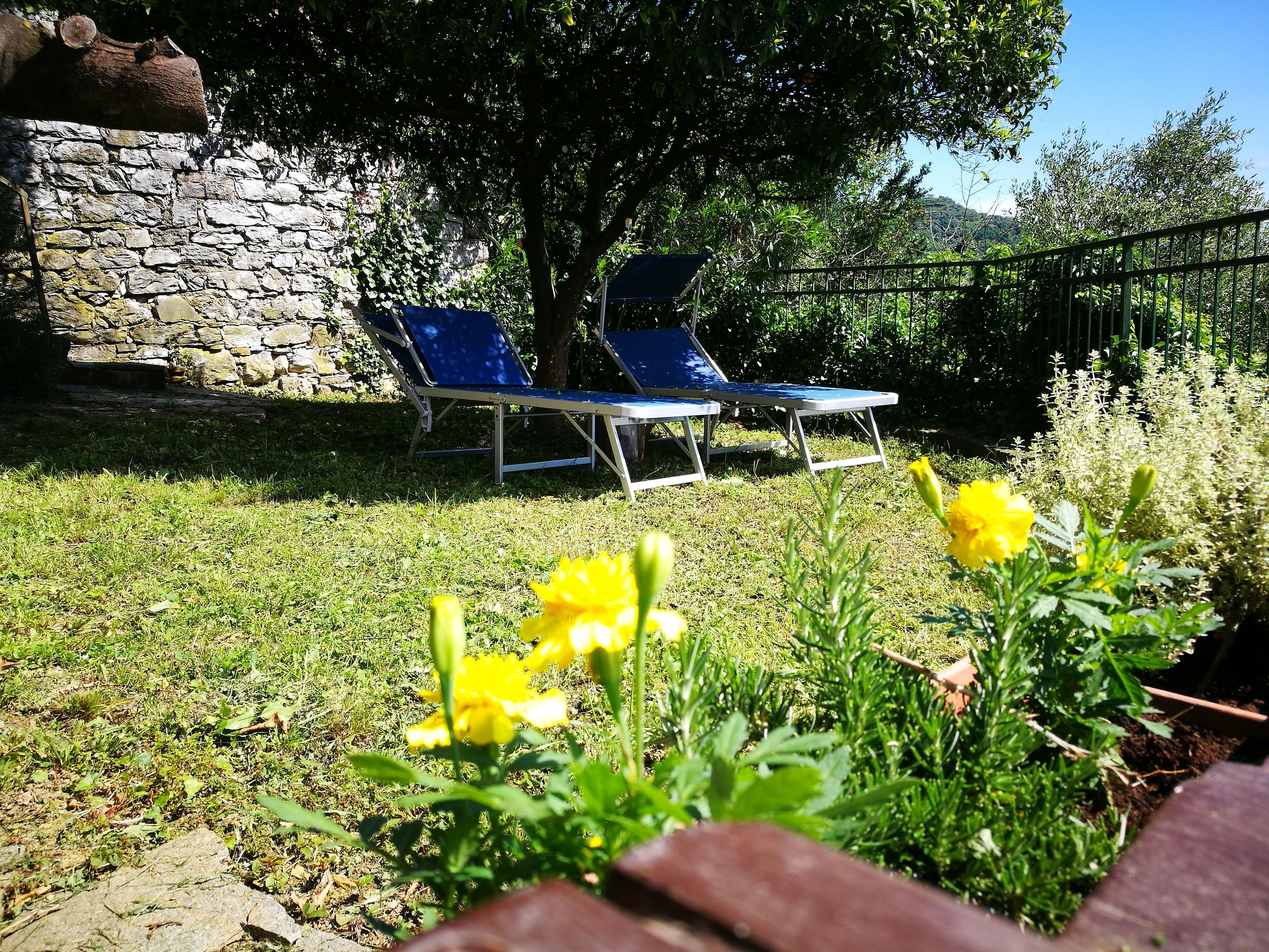 Un muro de piedra, dos sillones azules y flores amarillas en un jardín.