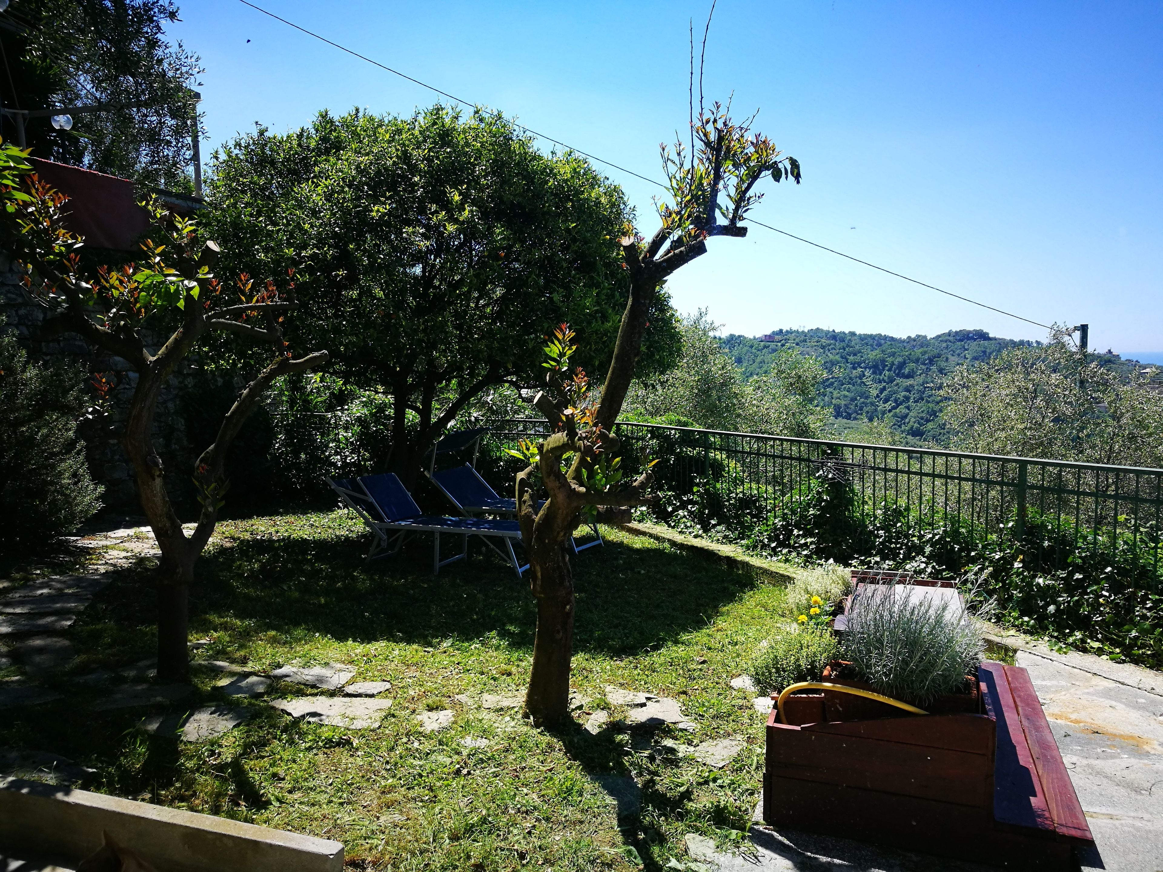 Un jardín con un sendero de piedra, un árbol y vistas a un paisaje montañoso.