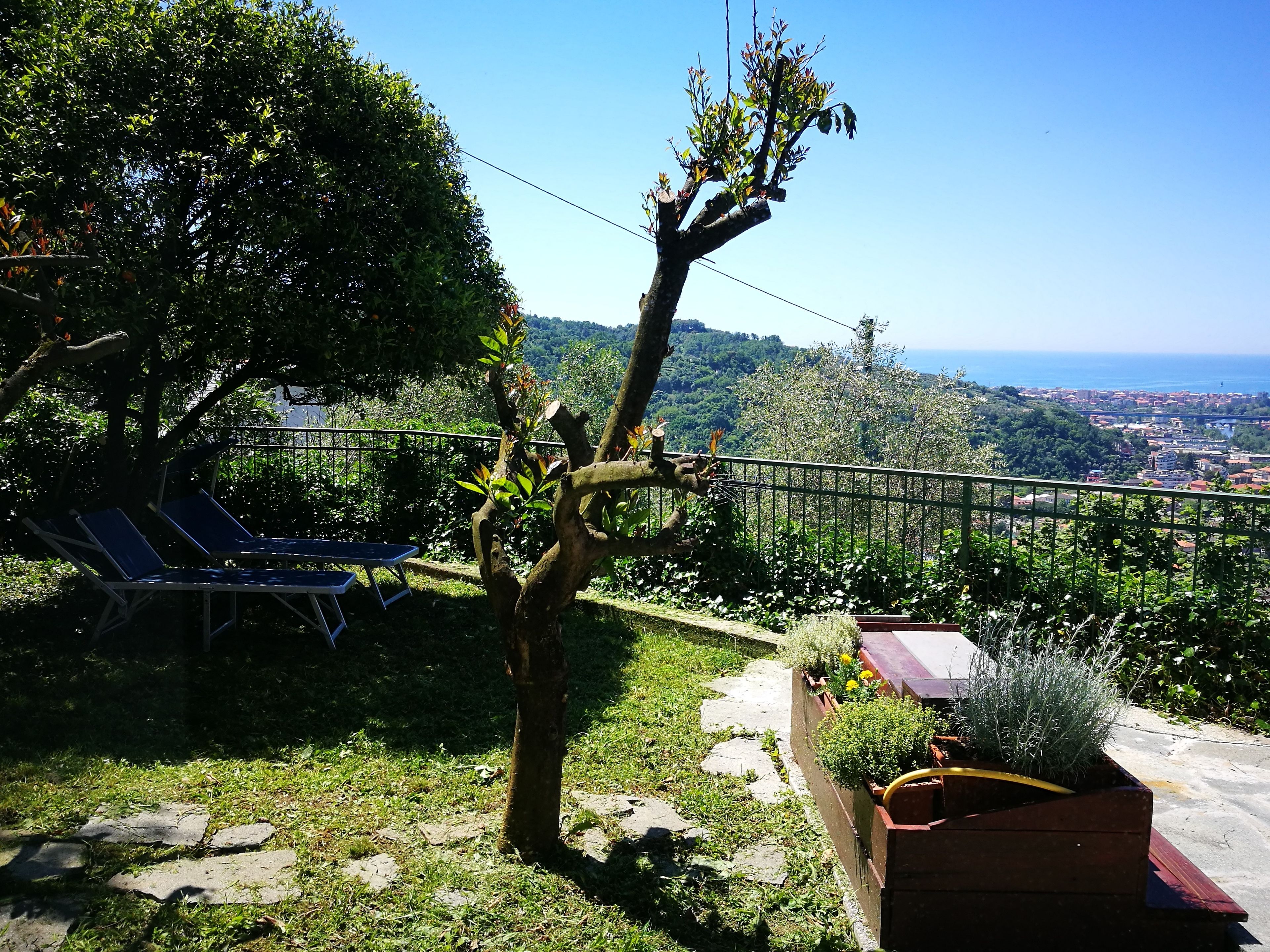 Ein Garten mit Tischtennisplatte, einem Baum und Blick auf Stadt und Meer.