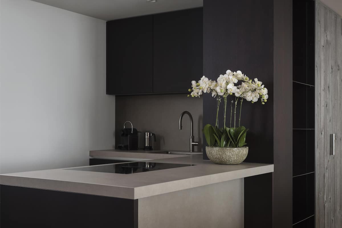 2 bedrooms deluxe residence-mountainview | private kitchenette | espresso maker, coffee/tea maker, electric kettle