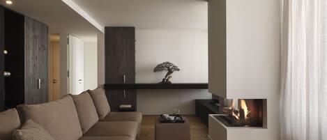 A modern living room with a sofa, a coffee table, a fireplace, and a bonsai tree.