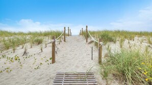 Un sentier de sable qui mène à la mer, bordé d’herbe et de petites plantes.