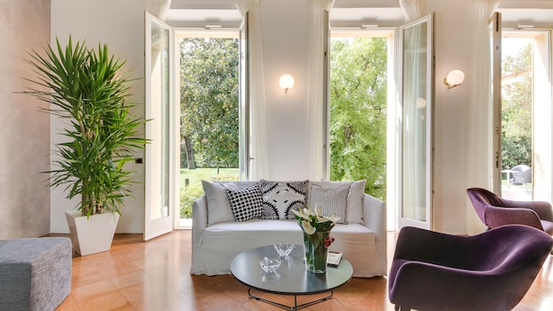 A modern living room with a white sofa, a glass coffee table, and purple chairs. There is a large potted plant and a vase with flowers on the table.