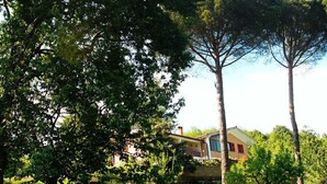 Una casa rodeada de abundante vegetación y árboles.