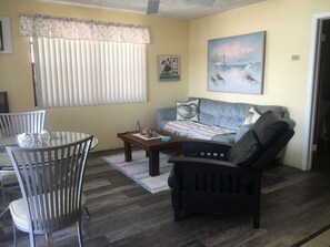 Fernseher, Videothek