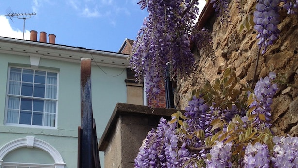 A building with a light green facade, a stone wall with purple wisteria vines, and a black metal structure. - St Ethelwolds House (Abingdon)