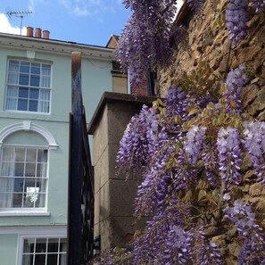 A building with a light green facade, a stone wall with purple wisteria vines, and a black metal structure. - St Ethelwolds House (Abingdon)