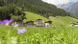 A mountain village with traditional chalet-style buildings, a lush green field, and a forested backdrop.