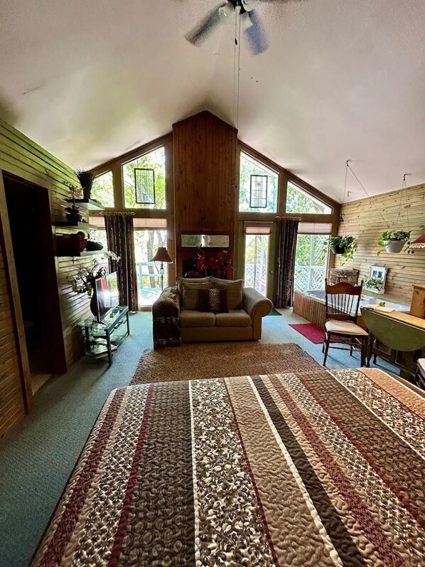 TV, fireplace, DVD player, books