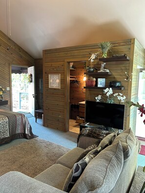 TV, fireplace, DVD player, books