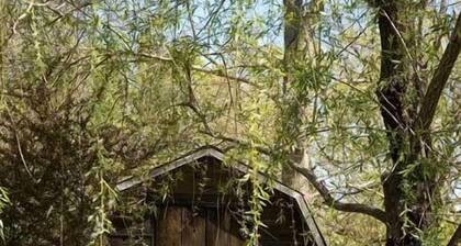 Best Views in Eureka Springs from this Mountain Cabin with Full Glass Front