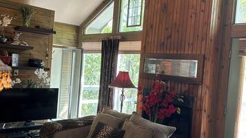 TV, fireplace, DVD player, books