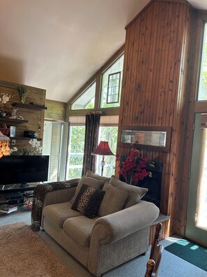 TV, fireplace, DVD player, books