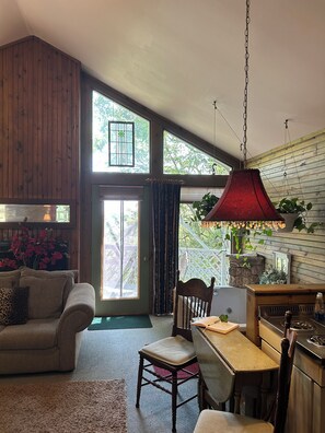 TV, fireplace, DVD player, books