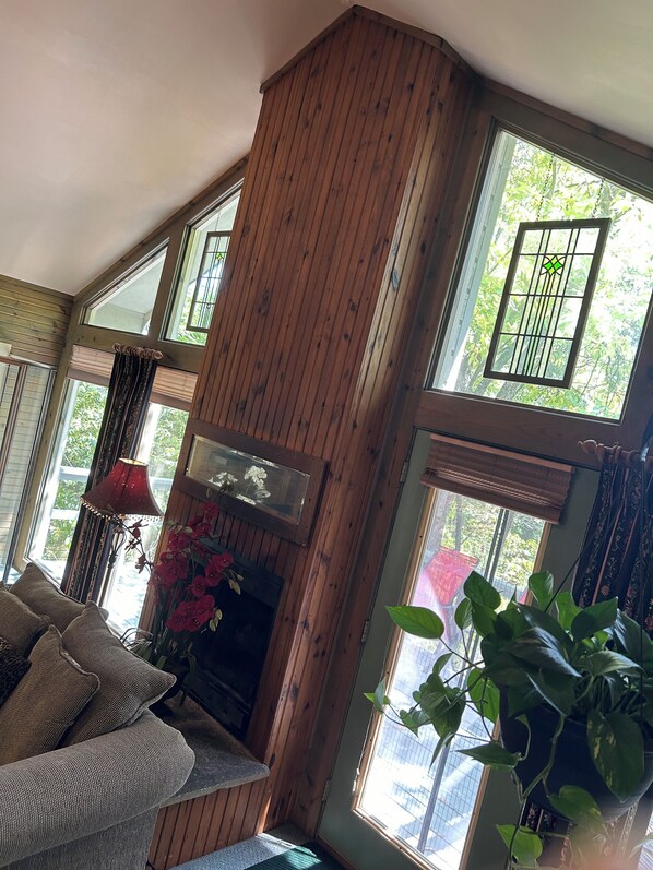 Televisión, chimenea, reproductor de DVD y libros 