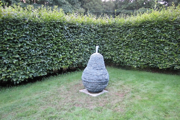 Àrea exterior de l'allotjament