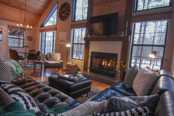 Smart TV, fireplace, books