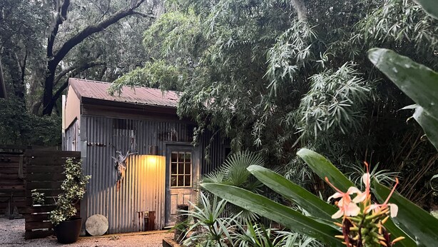 A rustic wooden cabin with a gravel driveway, surrounded by lush greenery and trees. - The Sleepy Shack - Private, Cozy Cottage for your next getaway! (Charleston)