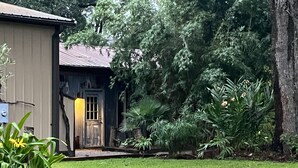 A house with a front yard, a wooden door, and a small shed. - The Sleepy Shack - Private, Cozy Cottage for your next getaway! (Charleston)