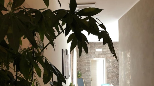 A dining area with a wooden table, chairs, a candle, and a potted plant. - Isolabella B&B (Mazara del Vallo)
