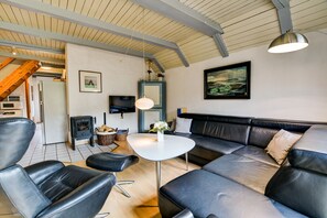 Smart TV, chimenea, reproductor de DVD y libros 