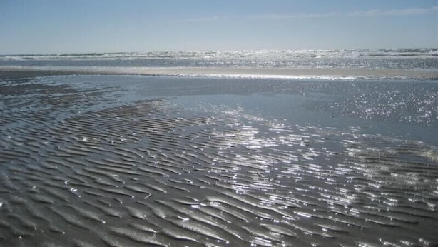 A beach with wet sand and gentle waves. - Child-friendly thatched cottage on a large plot. Natural property from private owner (Fereininsel Römö)