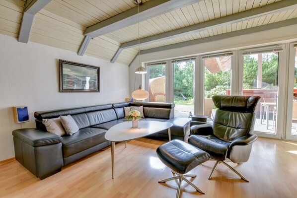 Smart TV, chimenea, reproductor de DVD y libros 