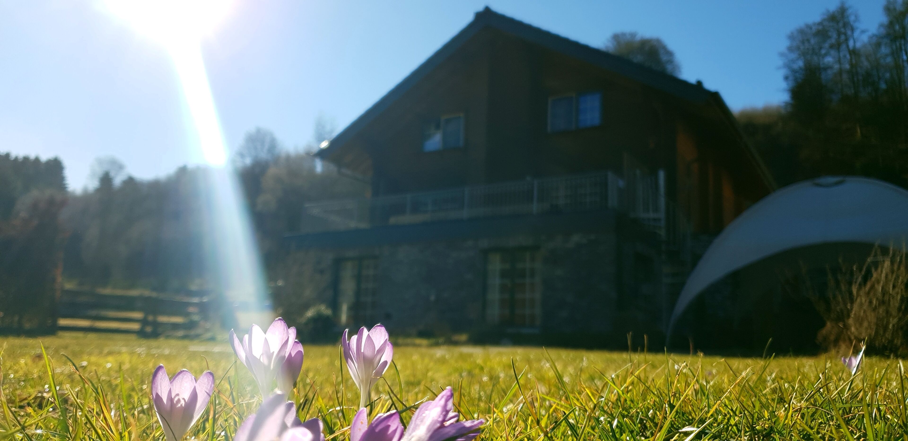 Overnattingsstedets uteområder