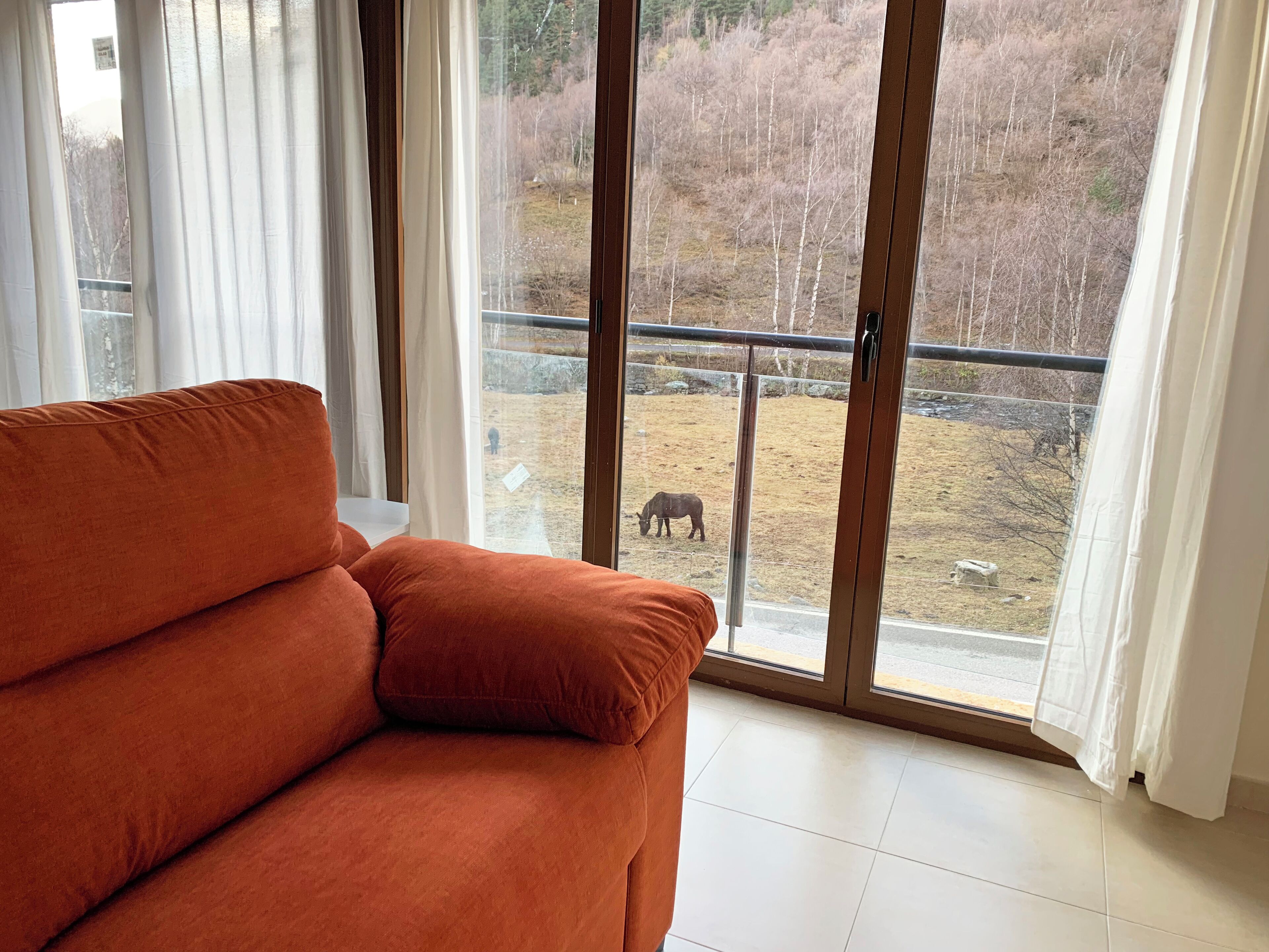 A room with a large window, a sofa, and a view of a fenced outdoor area with a moose.