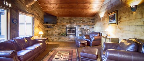 Living area | TV, fireplace, DVD player, books