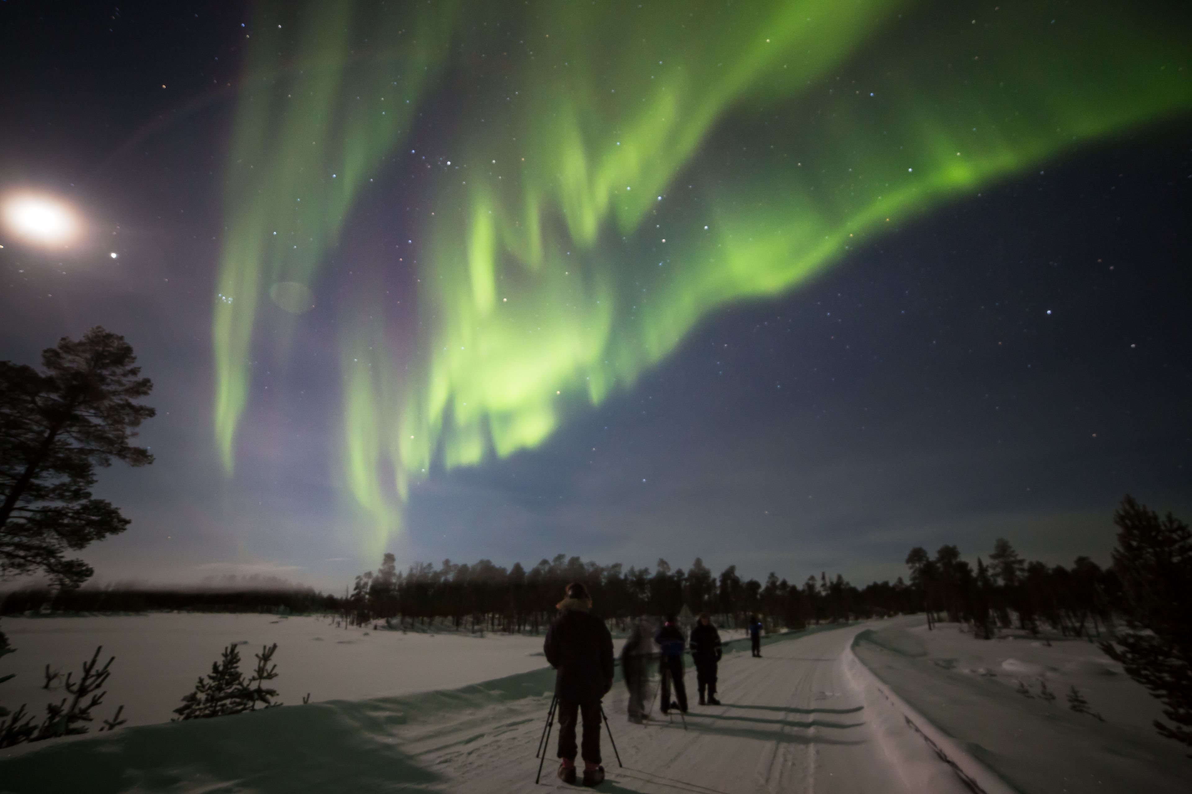 land view from property