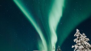 A snow-covered cabin with a wooden door, surrounded by snow-covered trees, under a night sky with visible aurora borealis. - Northern Lights Village Levi (Kittila)