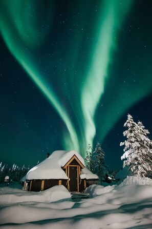 Fachada del alojamiento - Noche