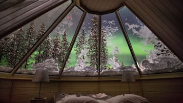 Ein Zimmer mit einem Bett und einem Fenster mit Blick auf Bäume und das Polarlicht.