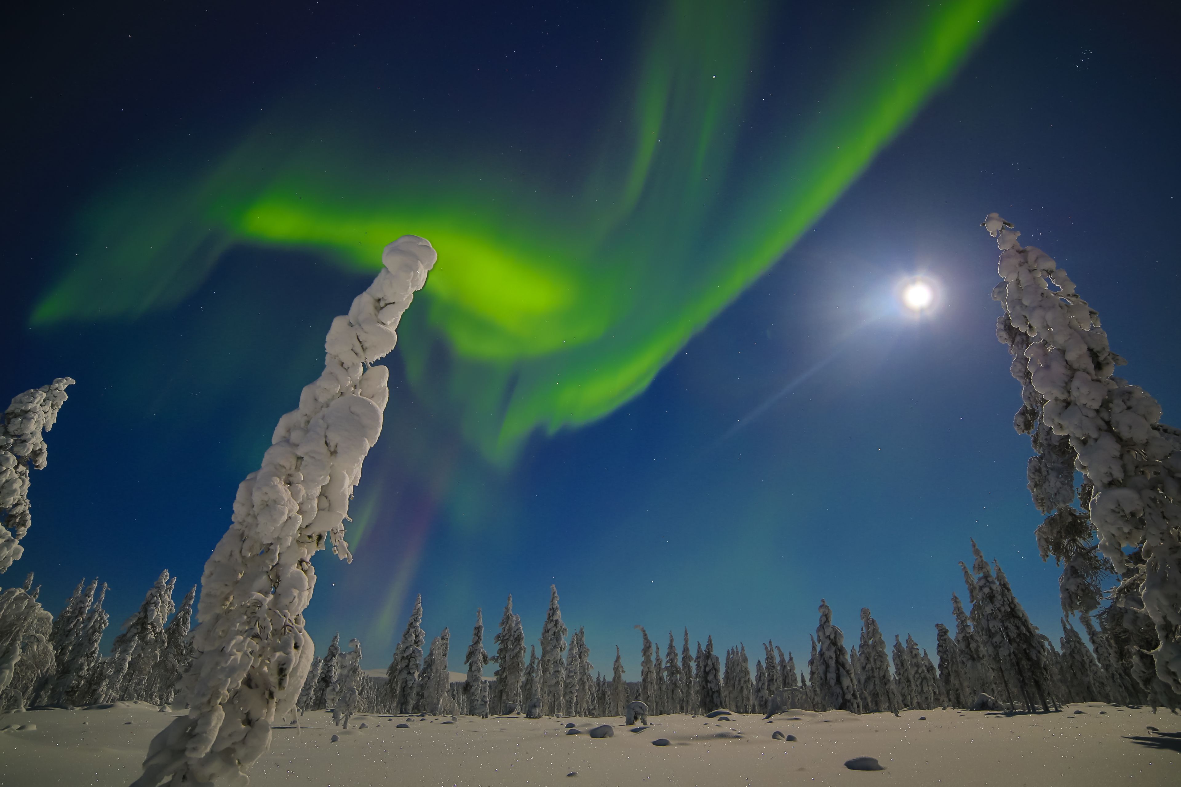 land view from property