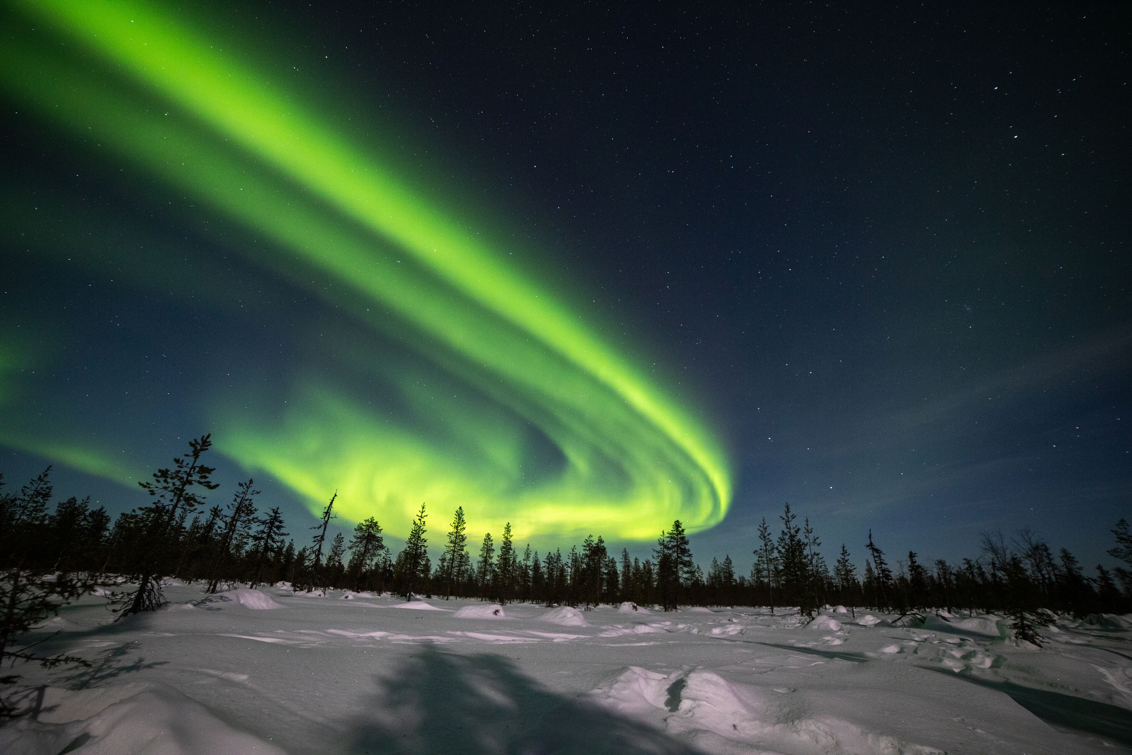 Un paysage enneigé avec une forêt et une aurore boréale bien visible.