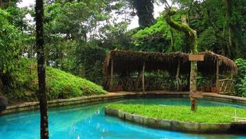 2 outdoor pools