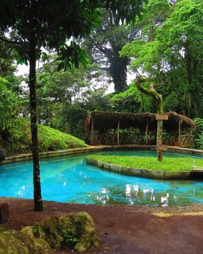 2 albercas al aire libre 