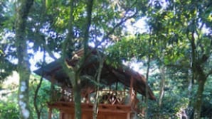 Traditional Cabin, Multiple Beds, Non Smoking
