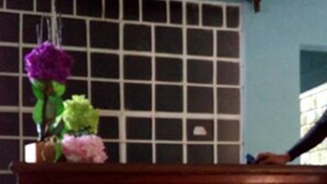 Un mostrador de recepción de madera con un emblema de escudo, un jarrón de flores y una pared de azulejos al fondo.