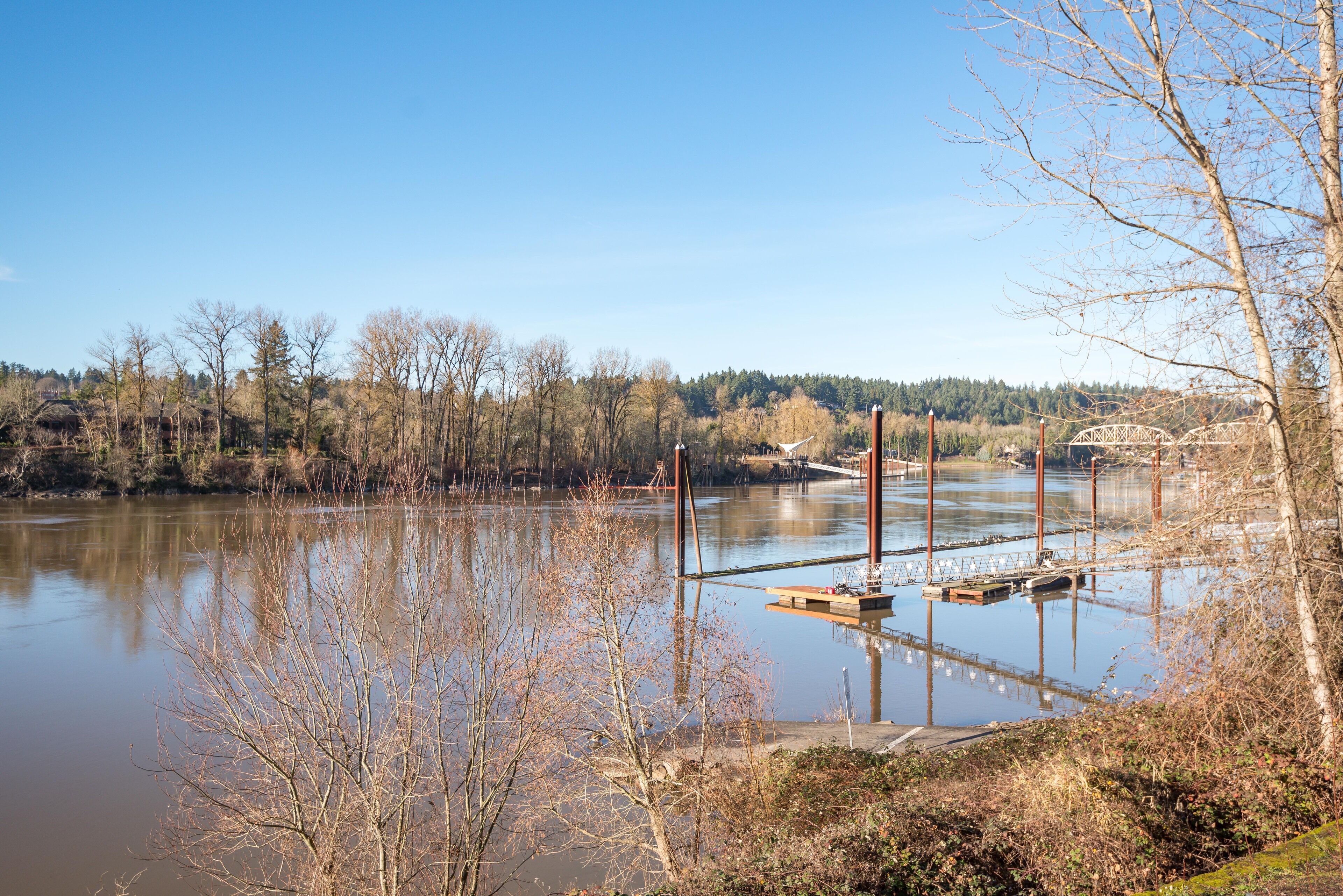 Een rustige rivier met een houten steiger en een brug op de achtergrond.