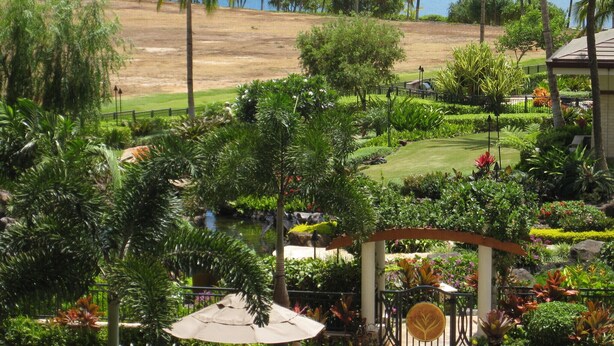 A lush garden with palm trees and a view of the ocean.