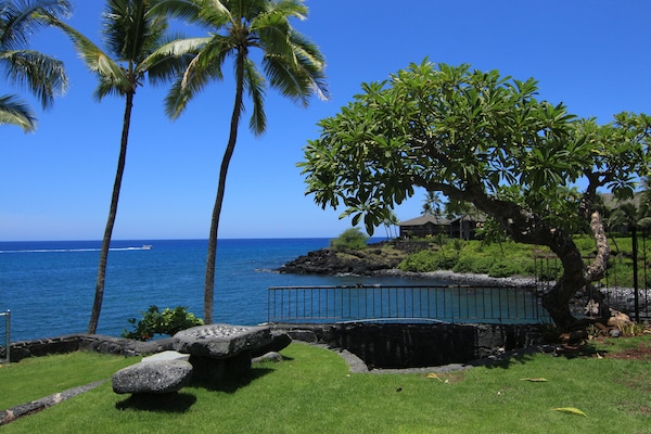 Terrain de lâhĂ©bergement