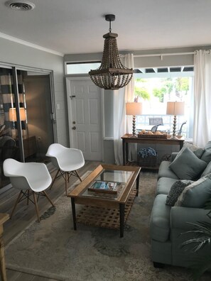 Smart TV, fireplace, DVD player, books