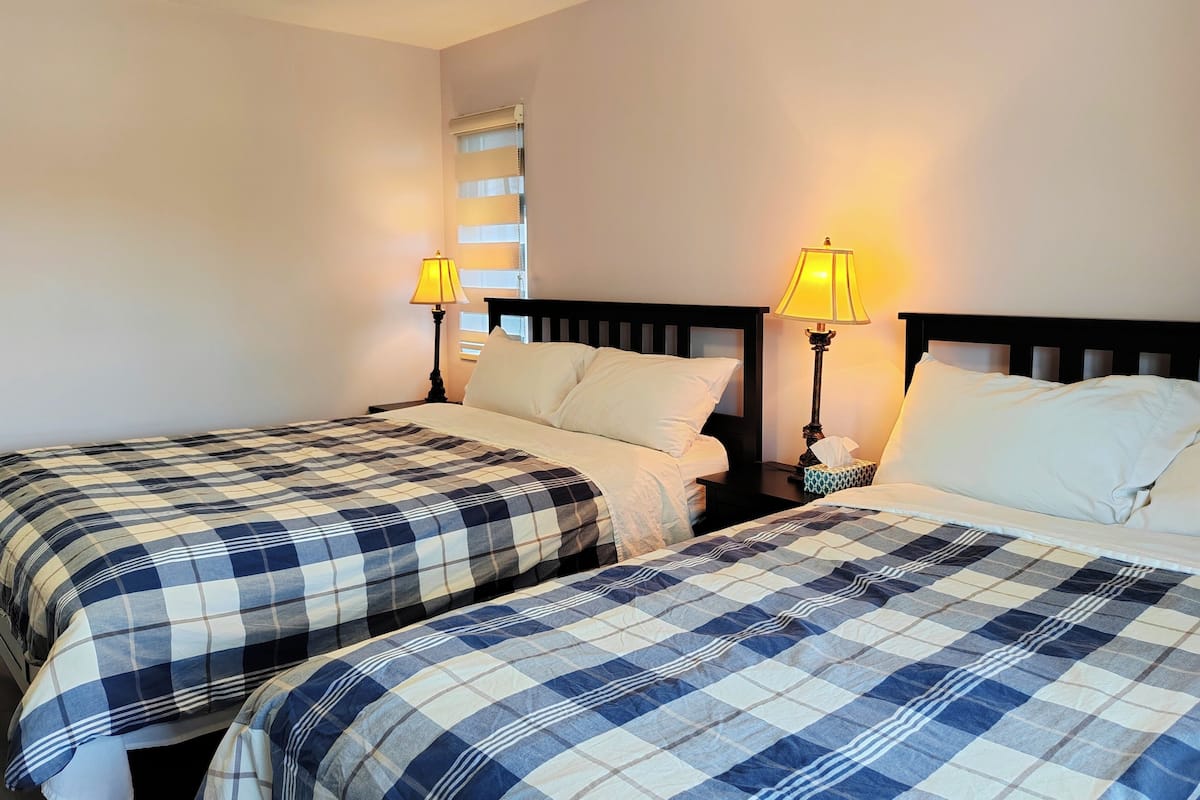 Two beds with checkered bedding, bedside lamps, a window with blinds, and a plain wall.